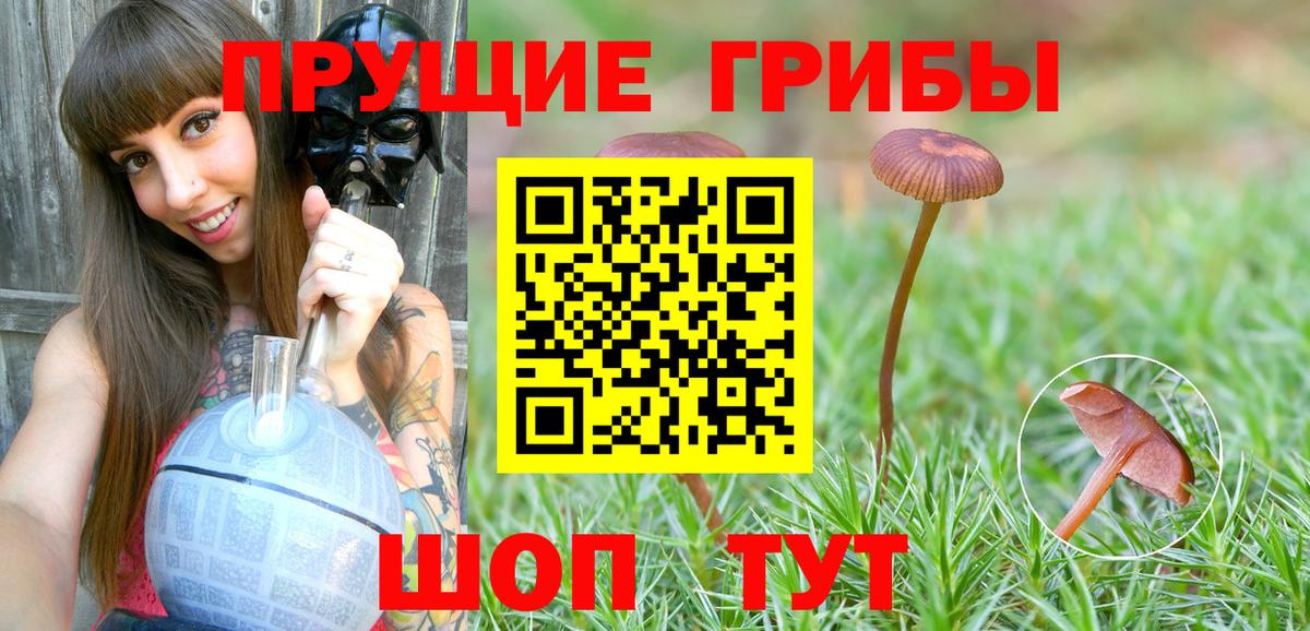 Галлюциногенные грибы ЛСД  Галлюциногенные грибы Magic Shrooms  Вход с VPN  Боровичи 
