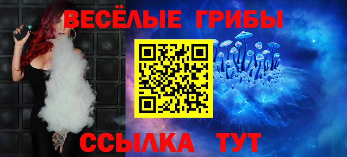 Галлюциногенные грибы Cubensis Боровичи